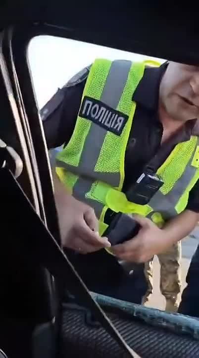 ���� �� �������: � ��������, ��������!. ������ ����������