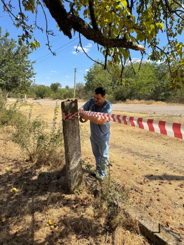 � ����������������� ������ ��������� ������������ ���������� � ������� ��������