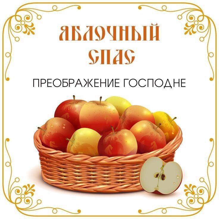 ������ ������������ ��������