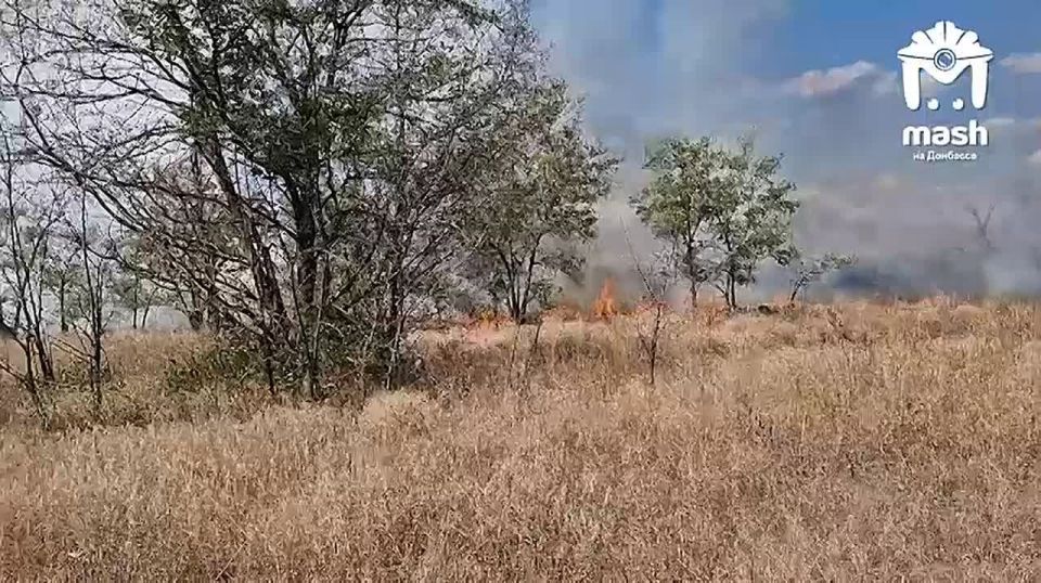 ������ ������ � � ���������� ������� � ��� ����� ������ ����� ���������