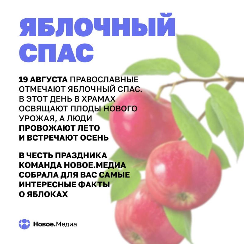 ������ ������ ����: �����, � ������� �� �� ������������