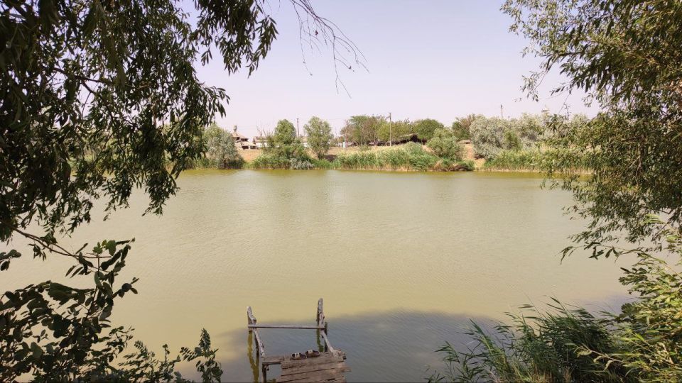 ����� ��������: � ������ ����������� �������� ������ ��������� ������������ ��� ������ ������� � ������������ ������