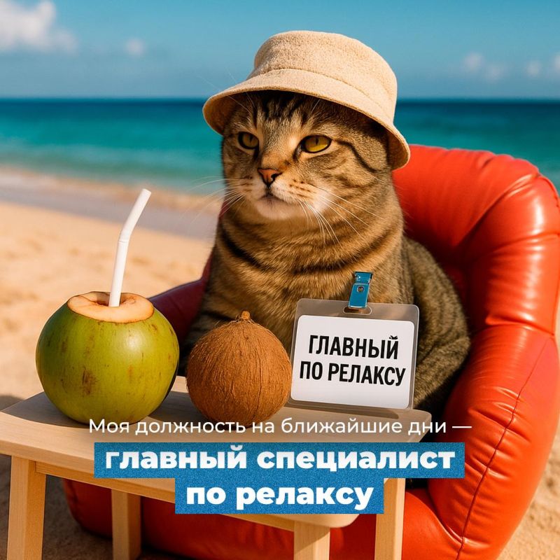 ������� � ������� � ������� ������ ������ �� ������� �����