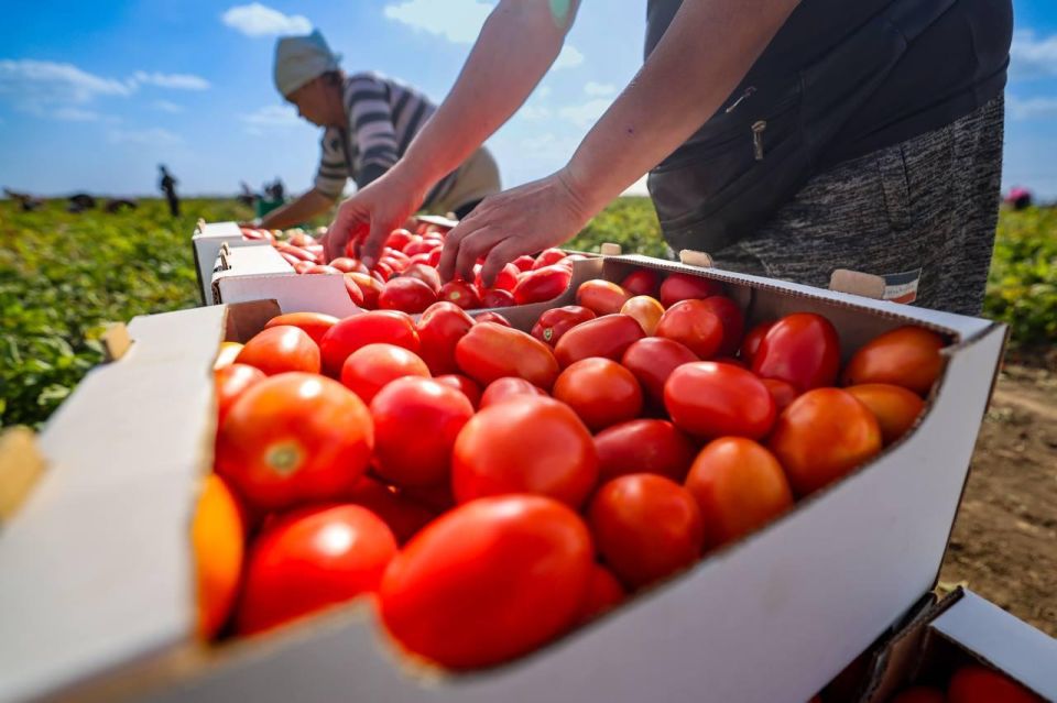 � ���������� ������� ������ ������������ �������