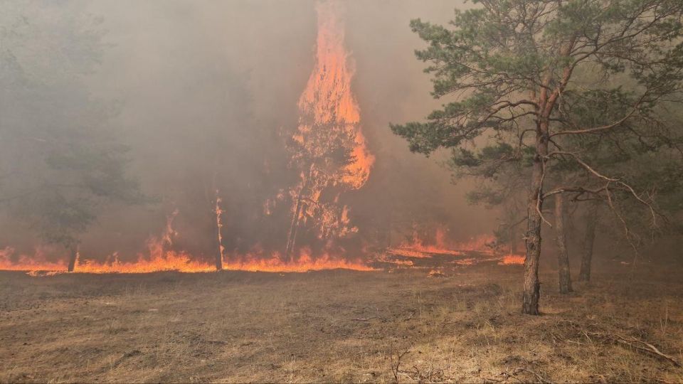 ����� 60 ������� ��������� � ��������������� ������� � ������� ��-�� ��������� ���