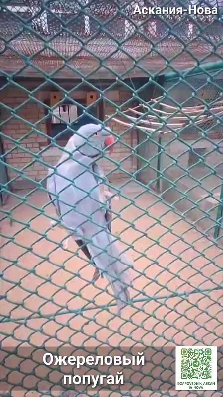 �������-���� ��������� � ��������� ������������ �����������! ����������: ���������� �������!