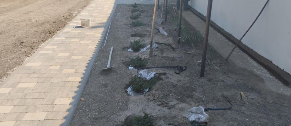 ���������� ����������� ������� �������� �������� � ��������� �����