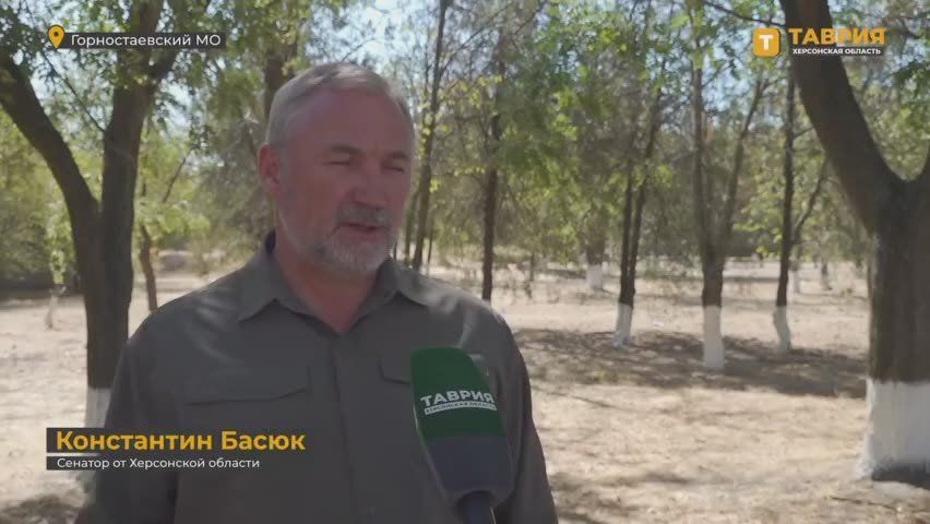 � �������� ����� � 75% ����������