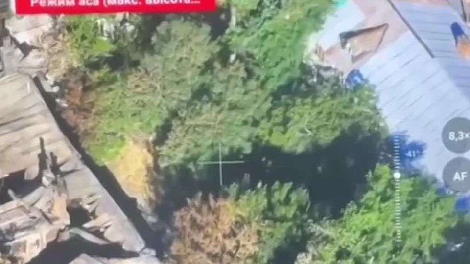 ������. �� ������ ������ ������, � ���������� ����, ���������� ����������� ����� ���� ����������