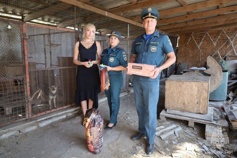 ����� ������