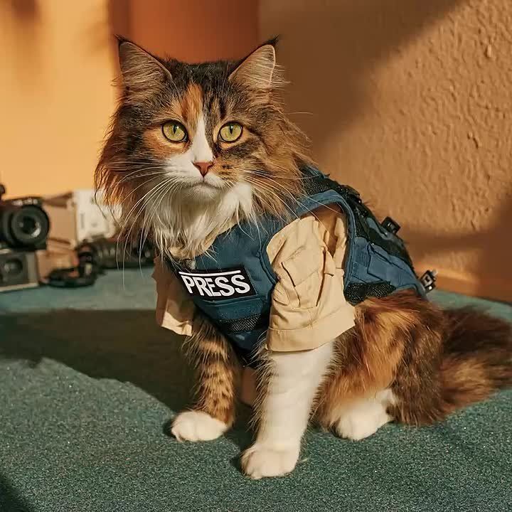 �� ��� ���������� � ����������� ���?