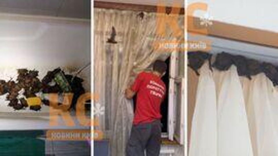 �� ������� ������������� ��������� ������� ����� � ����� ����