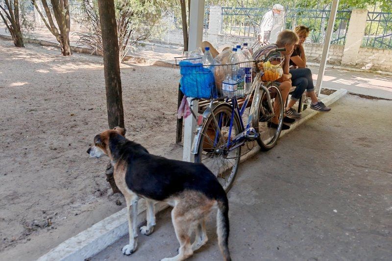 "����� �������� � ����". ��� ����� ������ ����� �� ����� �������������