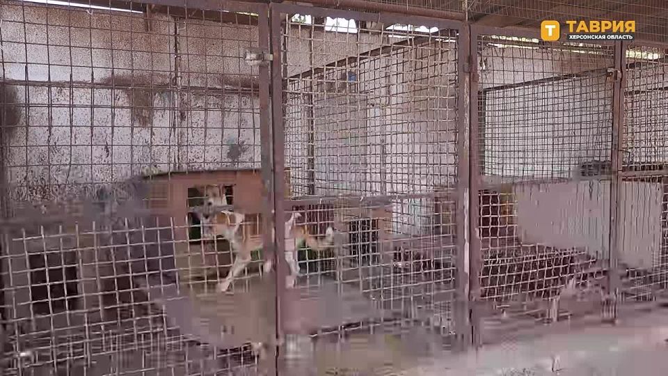 � ���������� ������� ����������� ����������������� ����� �� "������ ������", ��������� ����� ����� ����� ��� ��������