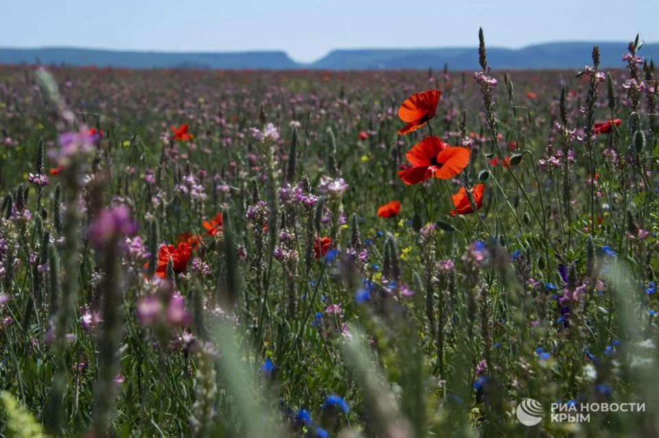 ������ �� ����� ����������� ������