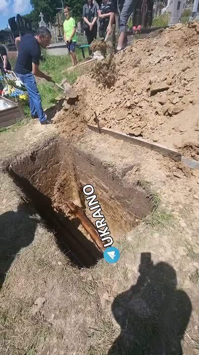 ��������� ����������� ���� ��������� ������