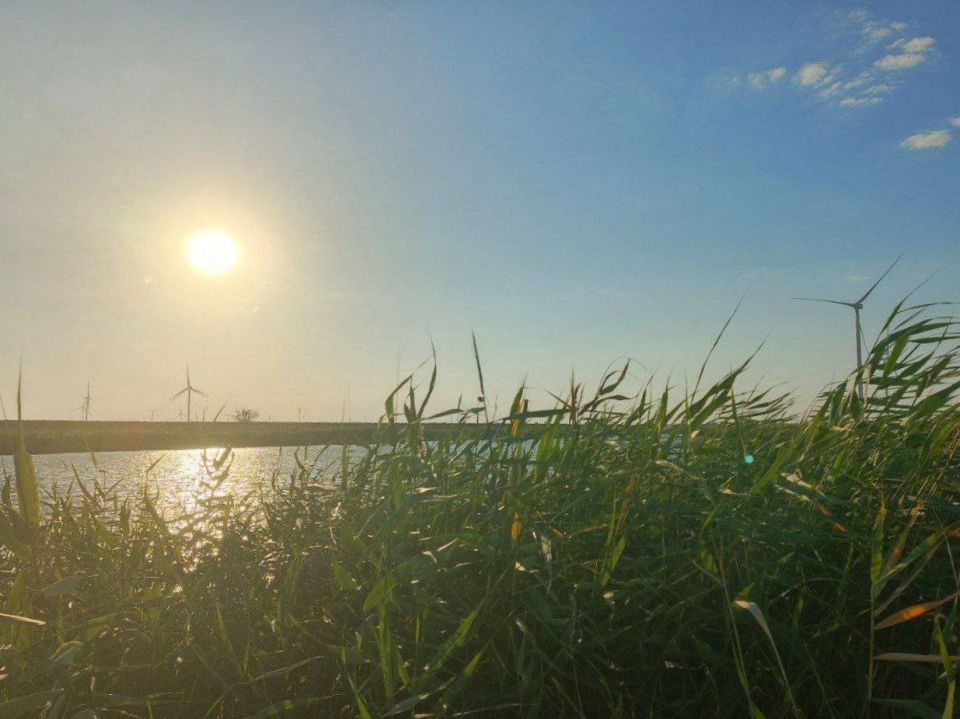 ������ ������� ��������� ������ ����������