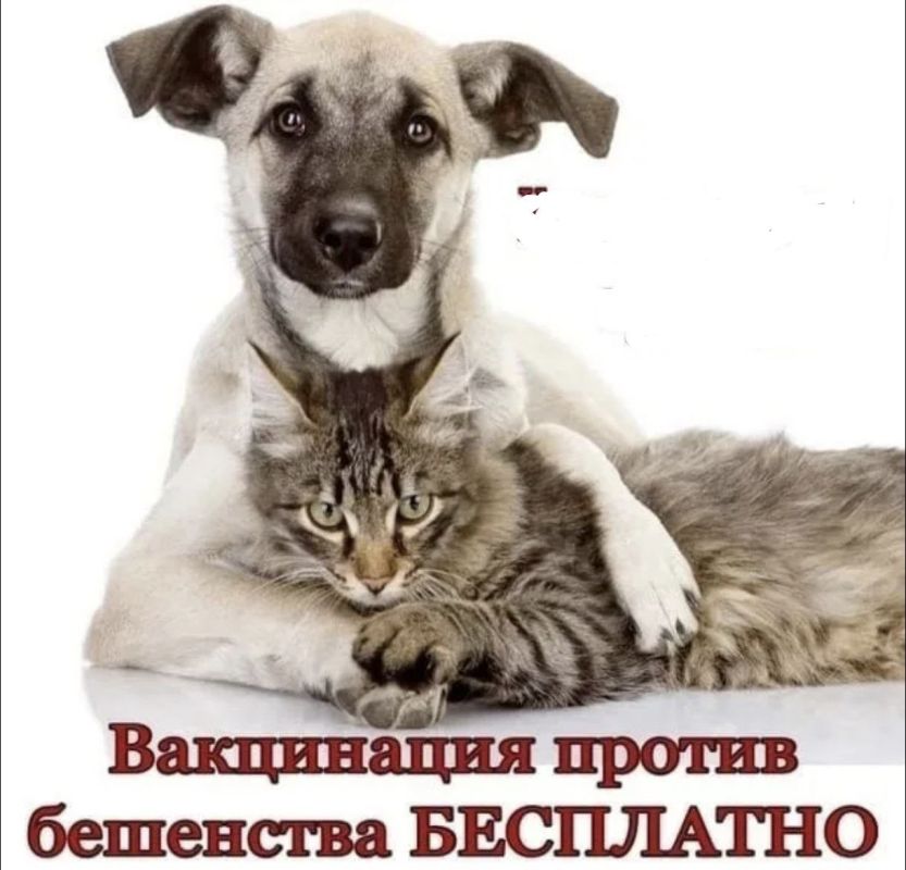 21 ������� 2025 ���� ������������ ����������� �� ����������� � ������������� ������� � �.��������� �������� ���������� ���������� �������� �������� � ����� � ����� � ������ ���������