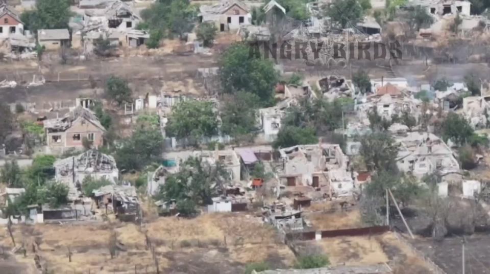 ���������� �����������. ����� �� ��������� ������������ ��������-����� ���������� �������