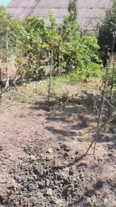 ������, 21 ������� 2025 ����