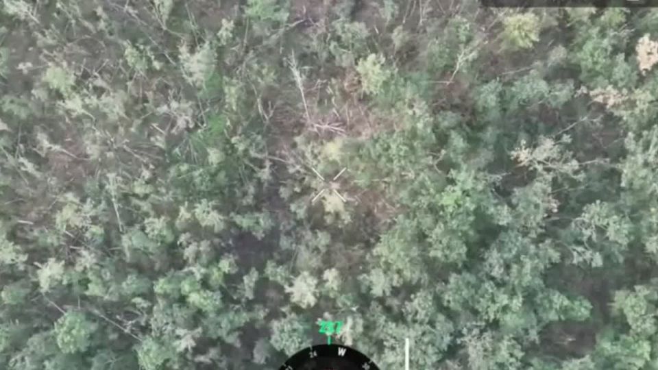 ���� �� �������: ������ ���� �������� ����������� �� ���� ��������� ��� ������� �������� ������������ � ����-��������� ��� � ������� �������