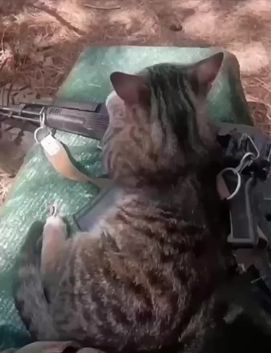 ������ ���� ����� ������ ������! ���-�� � ����� ���� �������, ���� ������ ���������, � ������� ��������, ��������� �������� ���� � �������, ����� ������� ���� ����