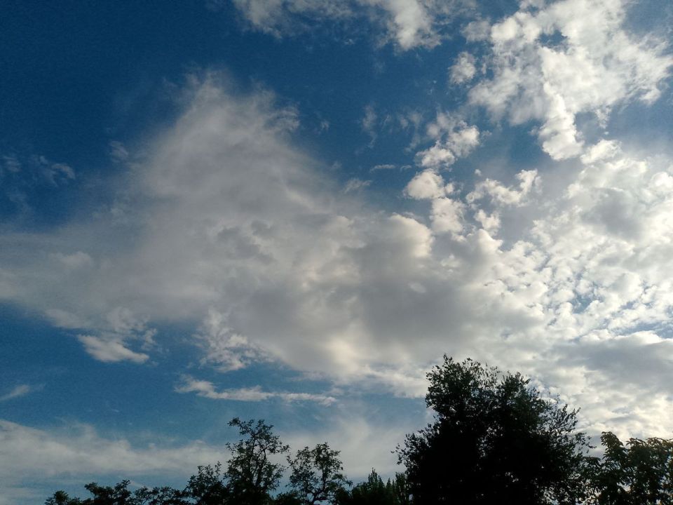 ������ ���������� ���������� ���� ����������