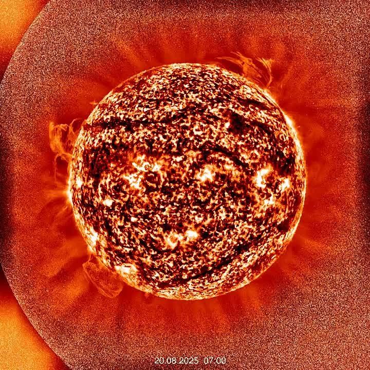 ������������ � ��� �� ����������� ���������� � �� ���������� ��� ��������