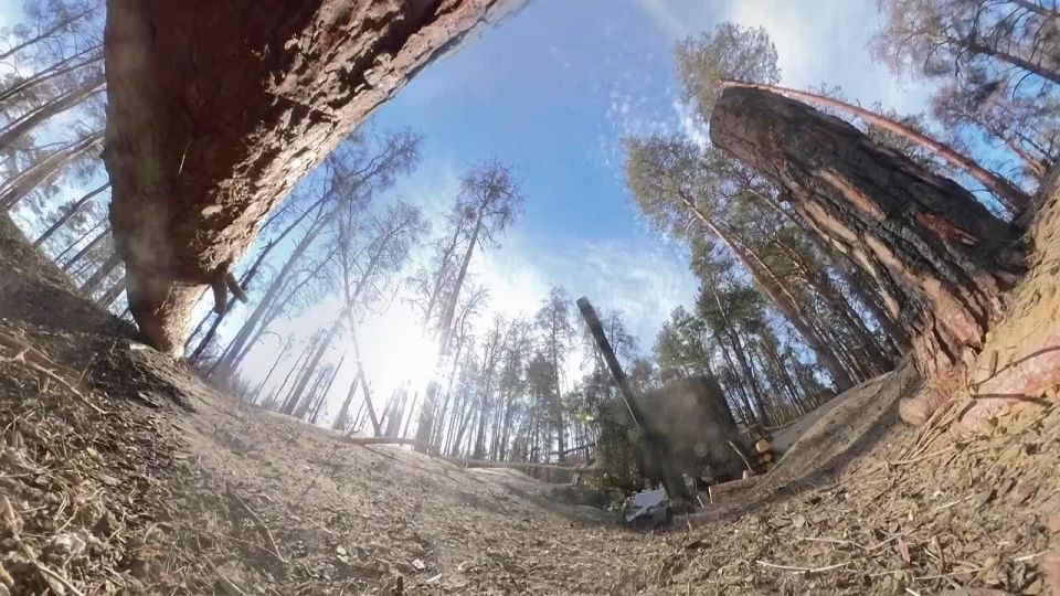 �����������: �� ������������ ���������� ������� �������� ���� ������ �����