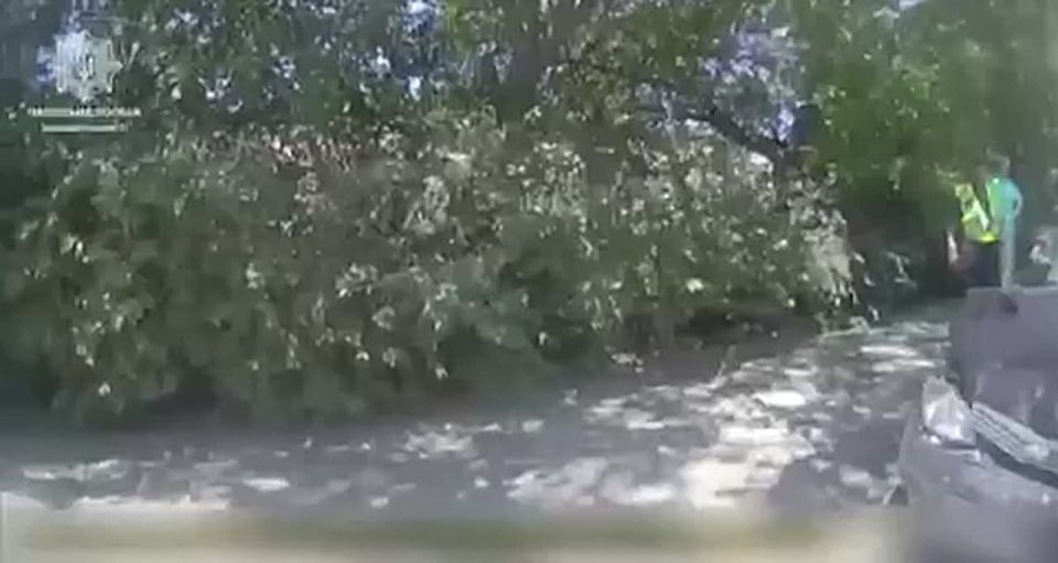 � ������ �����������, ��������� �� ����� ���, ��������������� ���������� ������ � ��������� ���������� �� �������, ����� �������� ��� � ��������� (���)