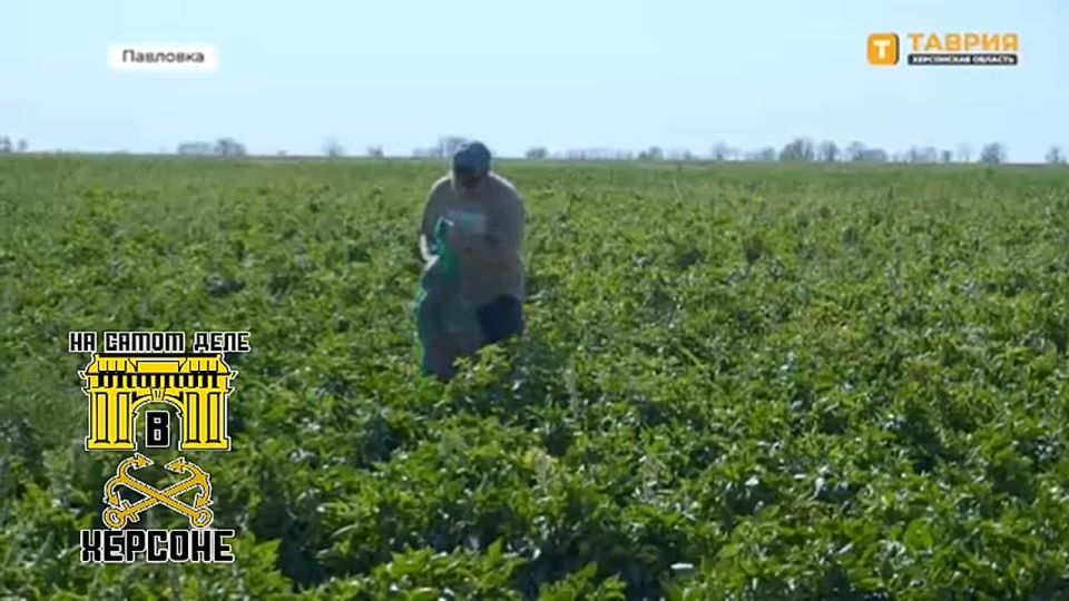 � ���������� ������� �������� ������ ����������� ����� ������ "�����" � "�����"