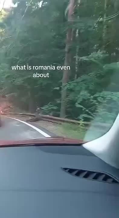 �������� ������� ������� ���