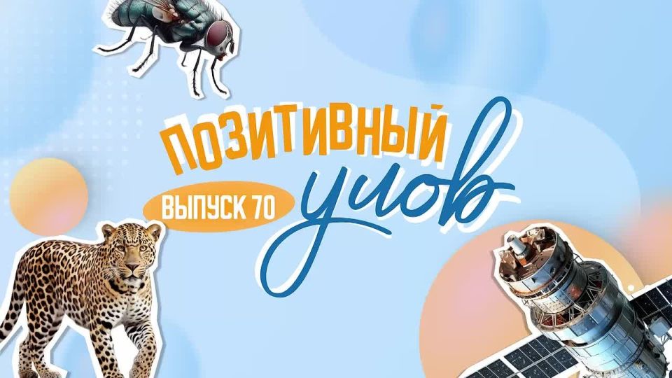 "���������� ����" � �������� ������������ �������� �� ����� ����