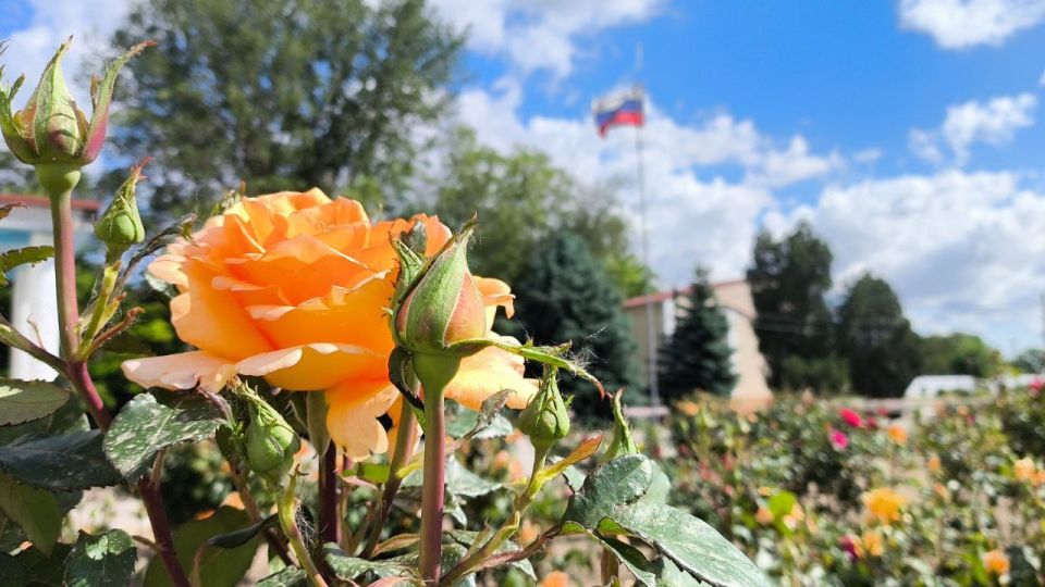 Руслан Хоменко: Уважаемые жители Алешкинского округа!