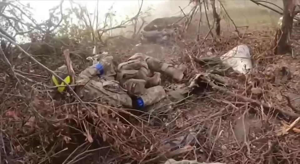 ��������� ������� ���, ��� �������� ������