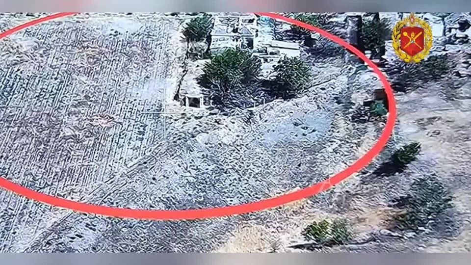 ���������� �����������. ����������� ������� ��� FPV-������