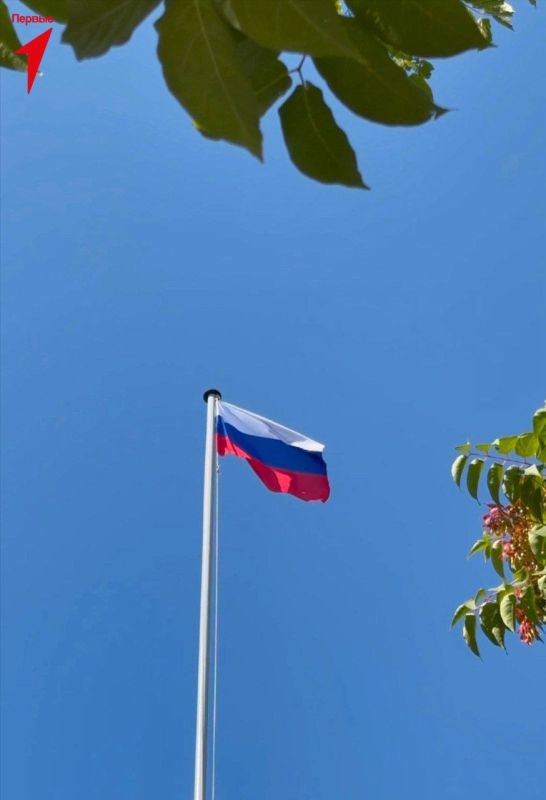 ������ ������� ������� � ������������� �������� ����� � ���������