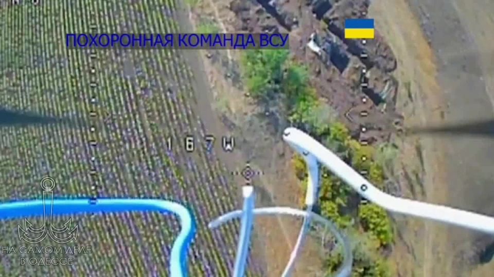 ���� �� ����� ���� ����� ������������