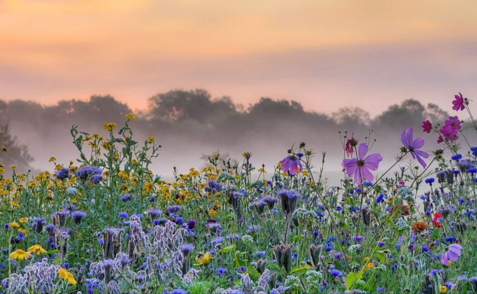 �� , � ��������� ����� ������� , ��� �������� , ������ ����� . �� ���� �������