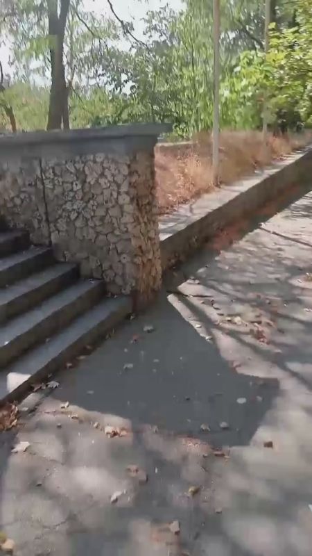 ������, 23 ������� 2025. �� ���������� � ��������������: � 9:40 ����� ��������, ��� �� ���� "��������" ����� ���