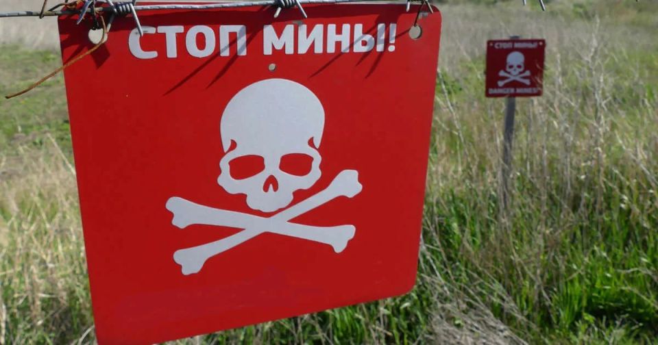 �� ���������� ����������� ���������� ������������� �������� ����������� ����������� ��������� � ��������� ���� � ����������� ����������� �����������