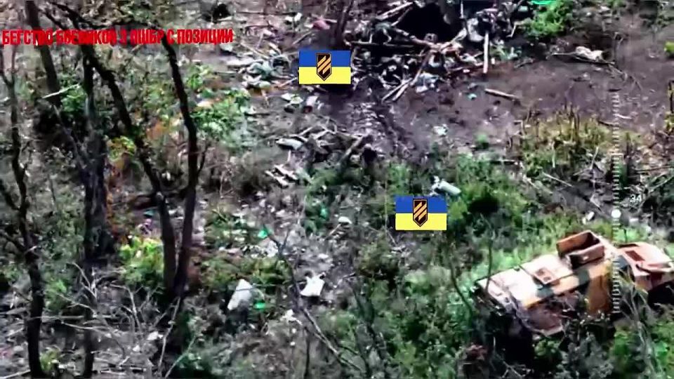 ��������� ������ 144-� ������� � ���� ���������� ����� �� ���������� ����������� ���������� ������ ����������