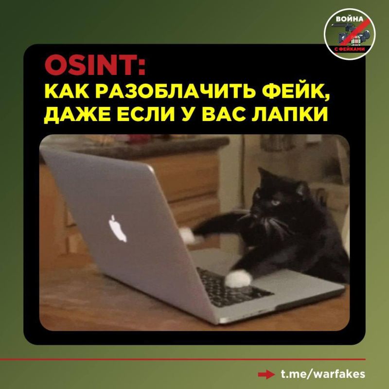 ������� ������ � ������� �����: �������, ����������� ����� � ��������, ��� �� �������������� �� ��� � ����������� MAX