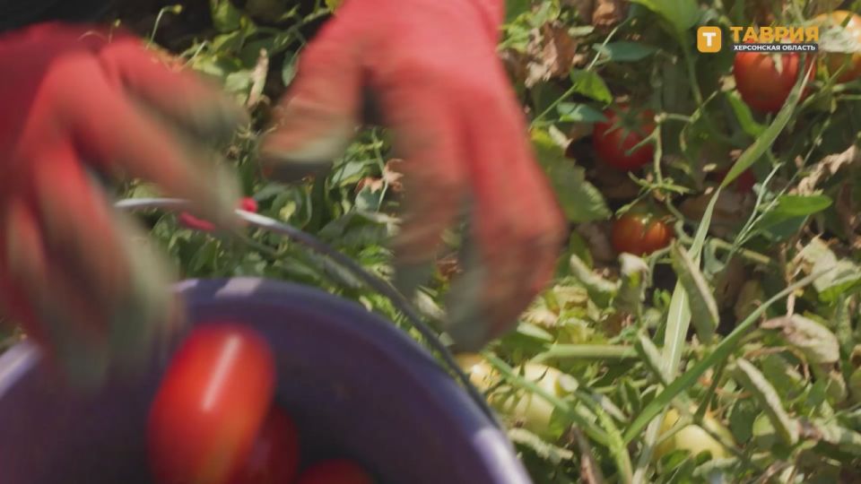 ����������� ������� �� ���������� � � ��������� "������� � ����������"