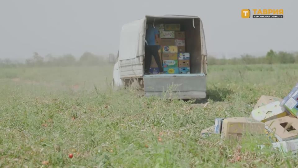 ����� 15 ���� ������� �������� �� ������������������ � ������� ����������� �� ����