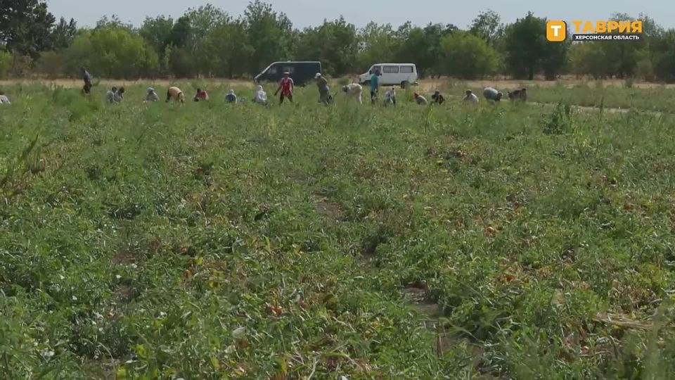 � ���������� �������, �������� �� ������ � �������� � ���������, ������� ������� ������� ������� ������� �� 10%