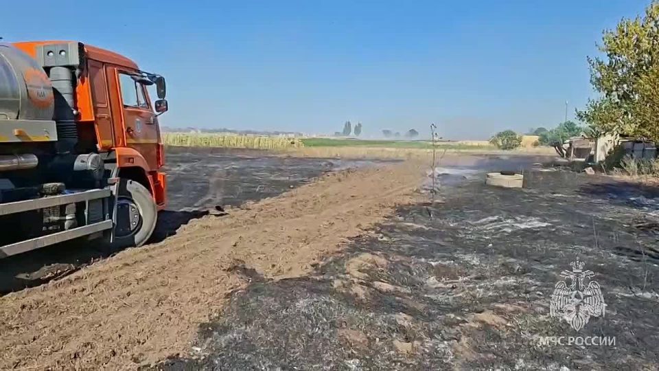 С начала года в Херсонской области произошло 616 ландшафтных пожаров