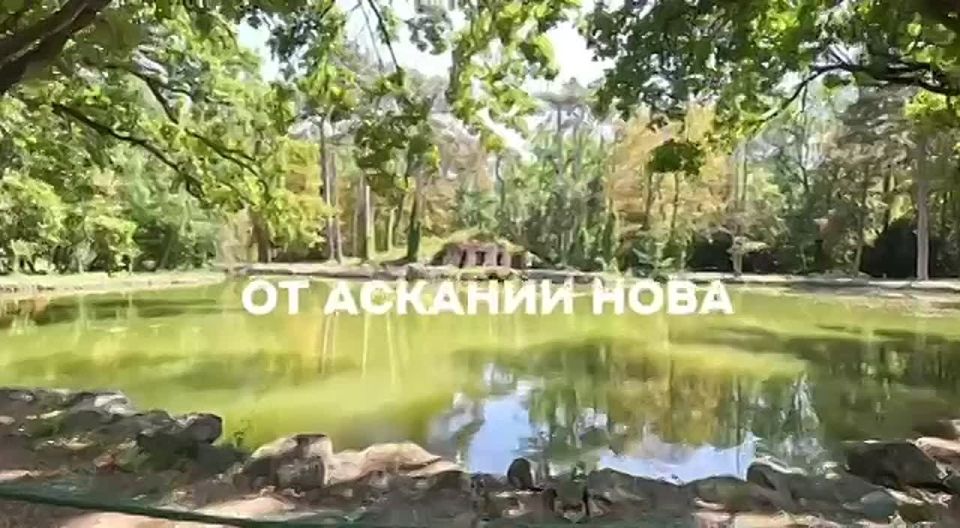 � ���������� ������� � �������� �������� ���� ���������������� ����� ���������� ���������!