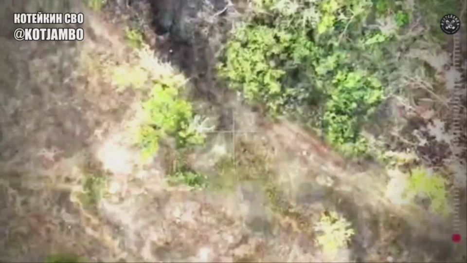 ��������� ������ 144-� ������� �� ��������������� ����������� ���������� ������ � ����������� ���������� � ��������� ��������