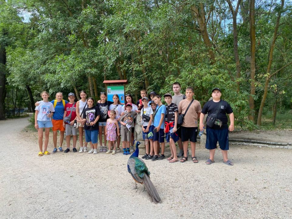 ���� �� ������������� �������������� ������ �������� ���������� "�������-����" � ������ ������� "�������� � ������ �������"